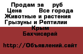 Продам за 50 руб. › Цена ­ 50 - Все города Животные и растения » Грызуны и Рептилии   . Крым,Бахчисарай